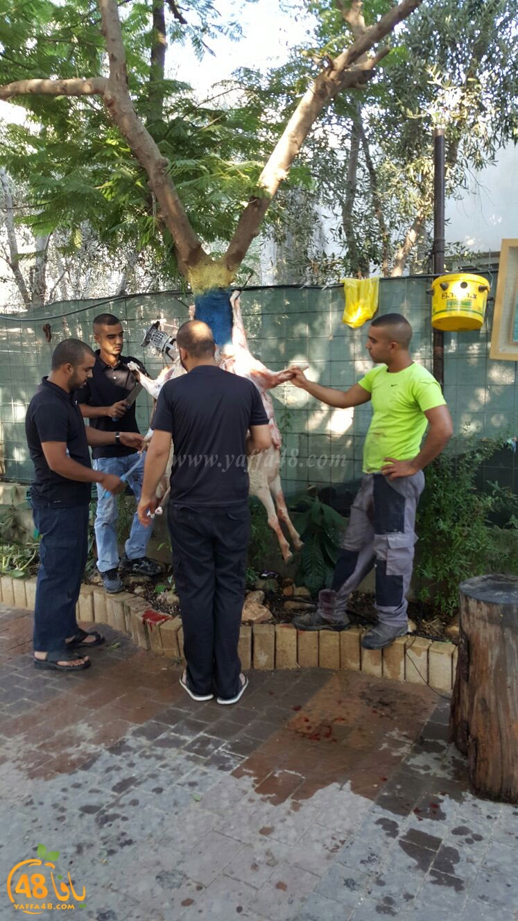 dab7 ada7y wu3ed (19).jpg